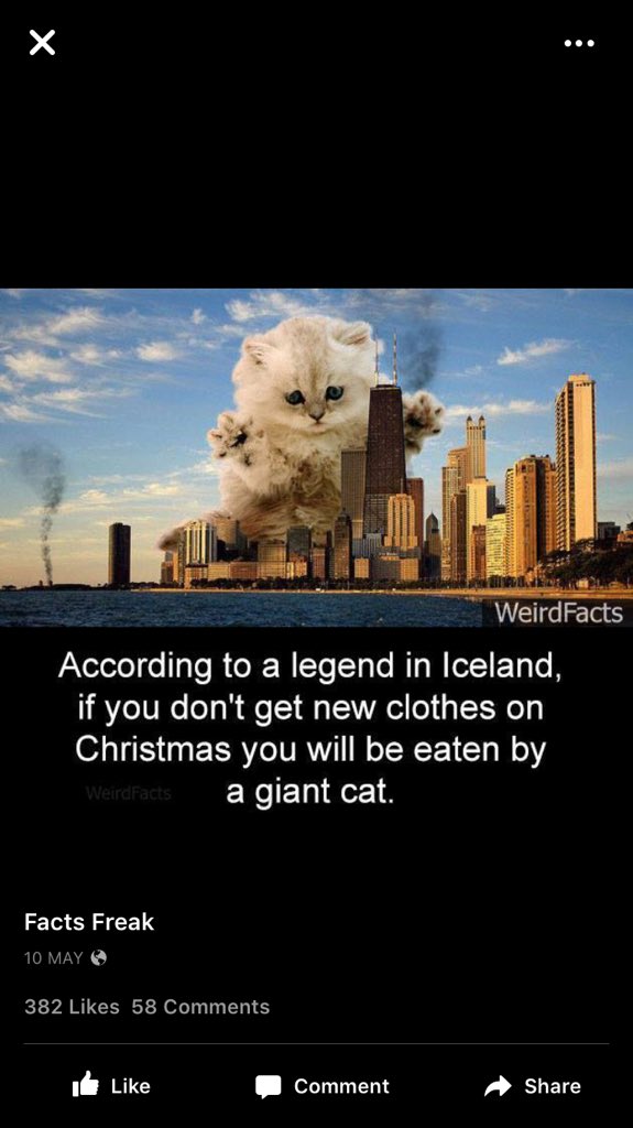 382 likes, þar af ca. 382 likes frá Íslendingum.