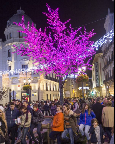 ideal_granada's tweet photo. ¡Ya es Navidad en #Granada! 📷📷 https://t.co/y601UQf8Pj https://t.co/nOJR9voV4V