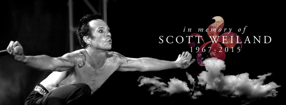 BukakeBee tweet media