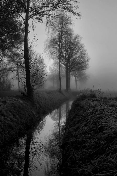 Zerstoren_dsbm's tweet photo. #Ambient #Atmospheric #Depressive https://t.co/t9cbCrV1Sx