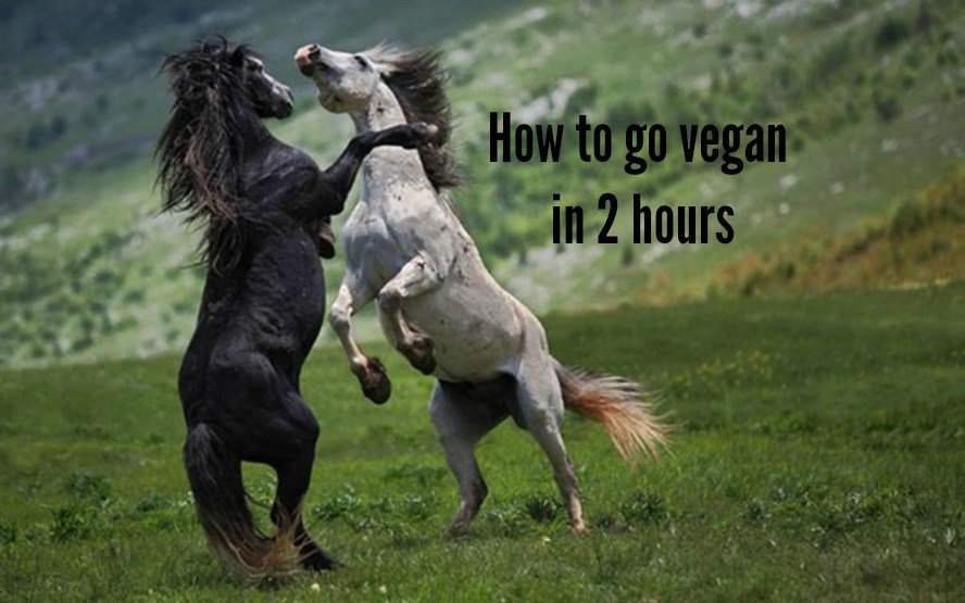 activevegans's tweet photo. Going vegan in 2 hours. https://t.co/HR5bToCLTB https://t.co/pSey3xxODn