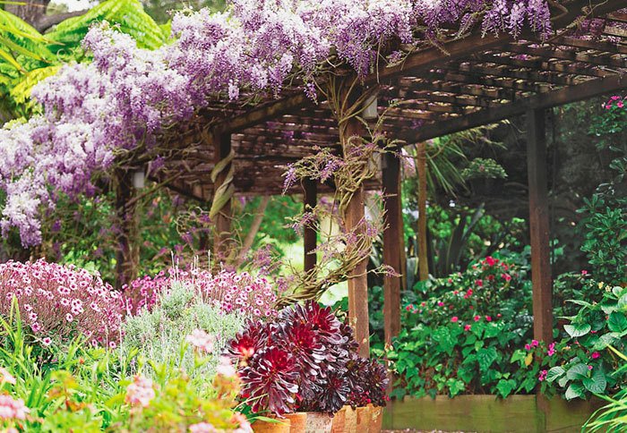 Gorgeous Climbing Vines to Plant in Your Garden - mostbeautifulgardens.com/2015/12/05/201…