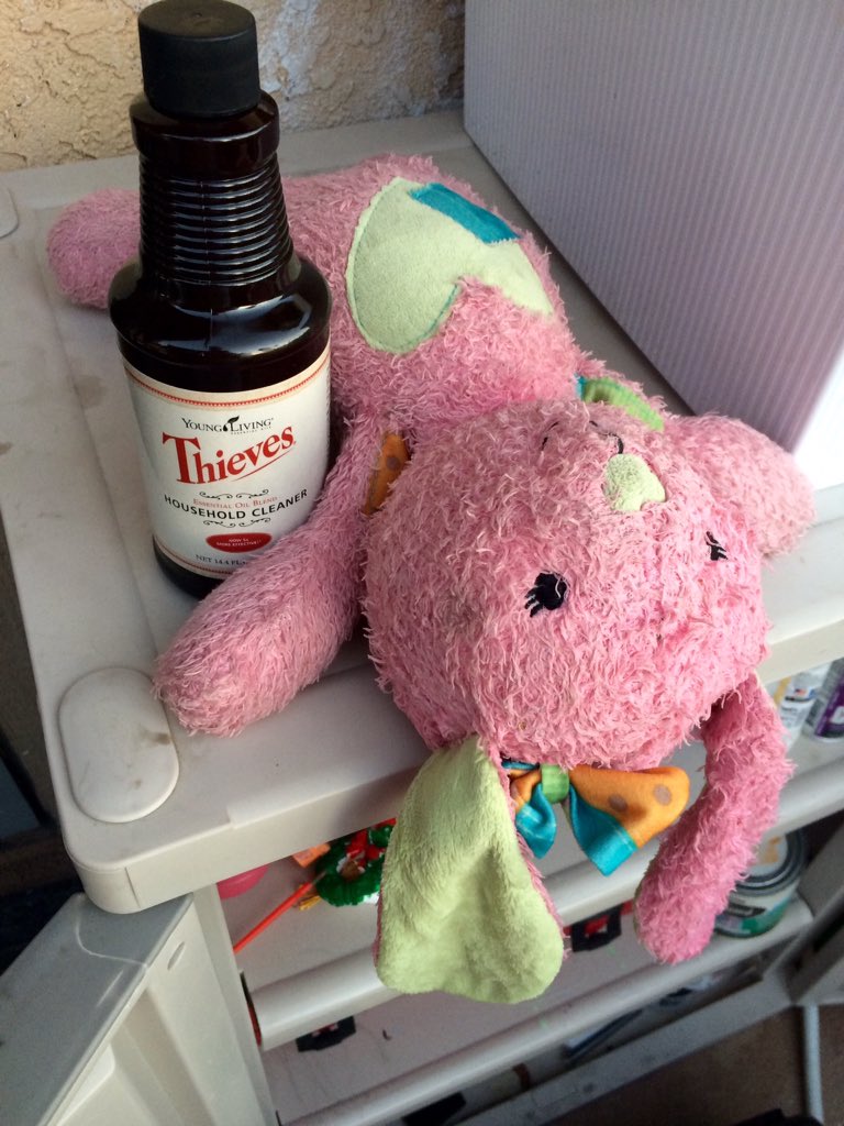 phbobph's tweet photo. Cleaning puke off the beloved bunny. Thank goodness for my chemical free thieves cleaner! Gotta love young living!! https://t.co/bywKNMhTrl