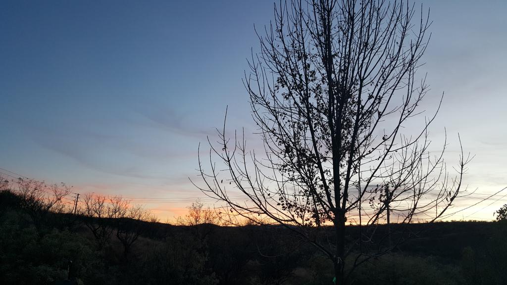 lauracrumbacher's tweet photo. #eveninglight #lauracrumbs #sunset #arizona #sky #azmoments #arizonasunset https://t.co/VUjeEGwnJt