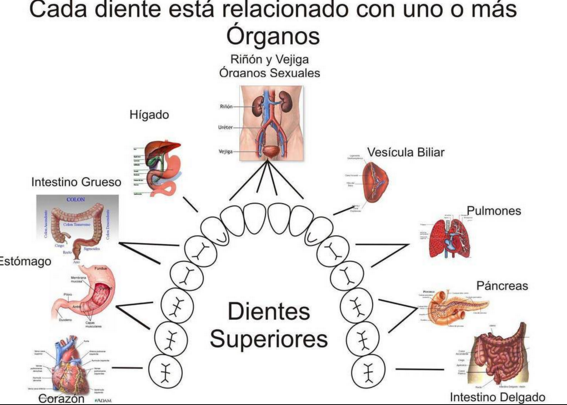 SinBrasierFM's tweet photo. "Porque una sonrisa dice más de lo que crees"
Consulta a la @dra_muelita y que tu sonrisa hable por si sola. https://t.co/BjBS94fJjB