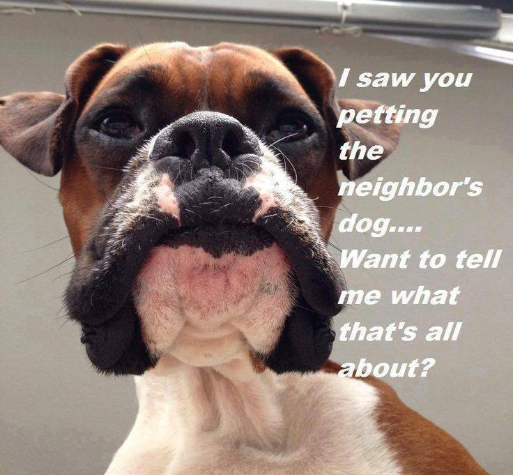 BoxerFanClub's tweet image. LOL

Like ✔ Comment ✔ Share ✔