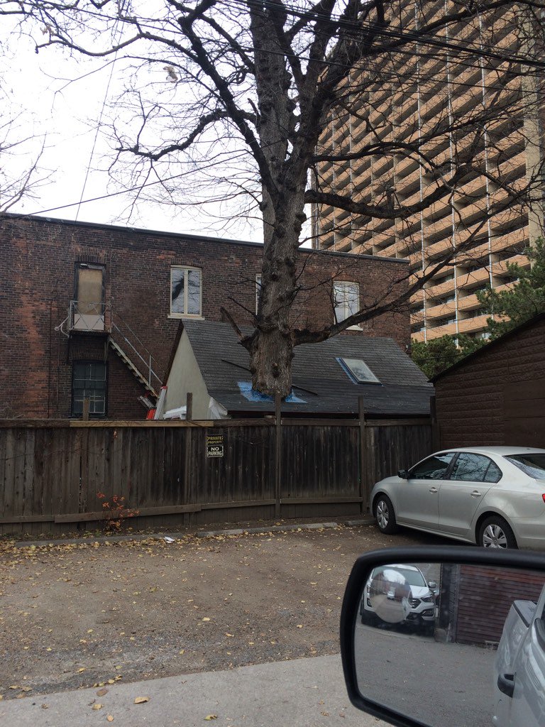 HeartwoodTree's tweet image. Now this is #treepreservation during development! ;-) @TOtrees