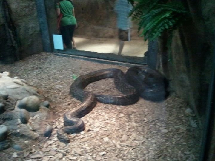 mike_mints tweet picture