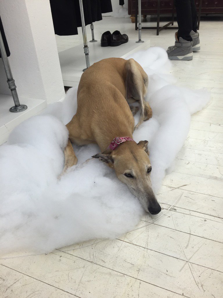 lovemaisonbloom's tweet image. @OutandEqual someone&apos;s already passed out in the snow at the holiday party. #designerjake #designerblake