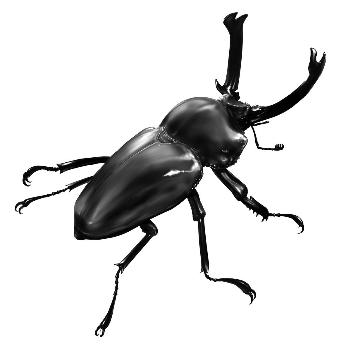 速水融次郎 自己流ニジイロクワガタ 派手な色のクワガタ の描き方 1 写真を見ながらシルエットを描く トレースでもok 2 白で明るい部分を描く 3 覆い焼きでテカらせる 4 グリザイユ画法で色を乗せて完成 T Co Xgatjzkvel Twitter 速水融次郎 自己流ニジイロクワガタ 派手な色のクワガタ の描き方 1 写真を見ながらシルエットを描く トレースでもok 2 白で明るい部分を描く 3 覆い焼きでテカらせる 4 グリザイユ画法で色を乗せて完成 T Co Xgatjzkvel Twitter