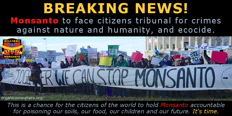 OrganicConsumer's tweet photo. BREAKING: @MonsantoCo will finally get its day in court! https://t.co/RG2HlgfUmr #MonsantoTribunal Please RT! https://t.co/PhDJRQ1BPt