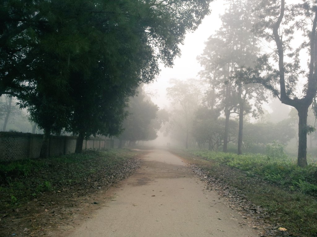 rosuun's tweet image. हुस्सु वाला गुडमर्निङ्ग :)))
#ResearchField #Sunflower #AFU