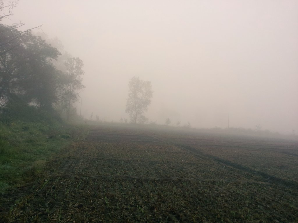 rosuun's tweet image. हुस्सु वाला गुडमर्निङ्ग :)))
#ResearchField #Sunflower #AFU