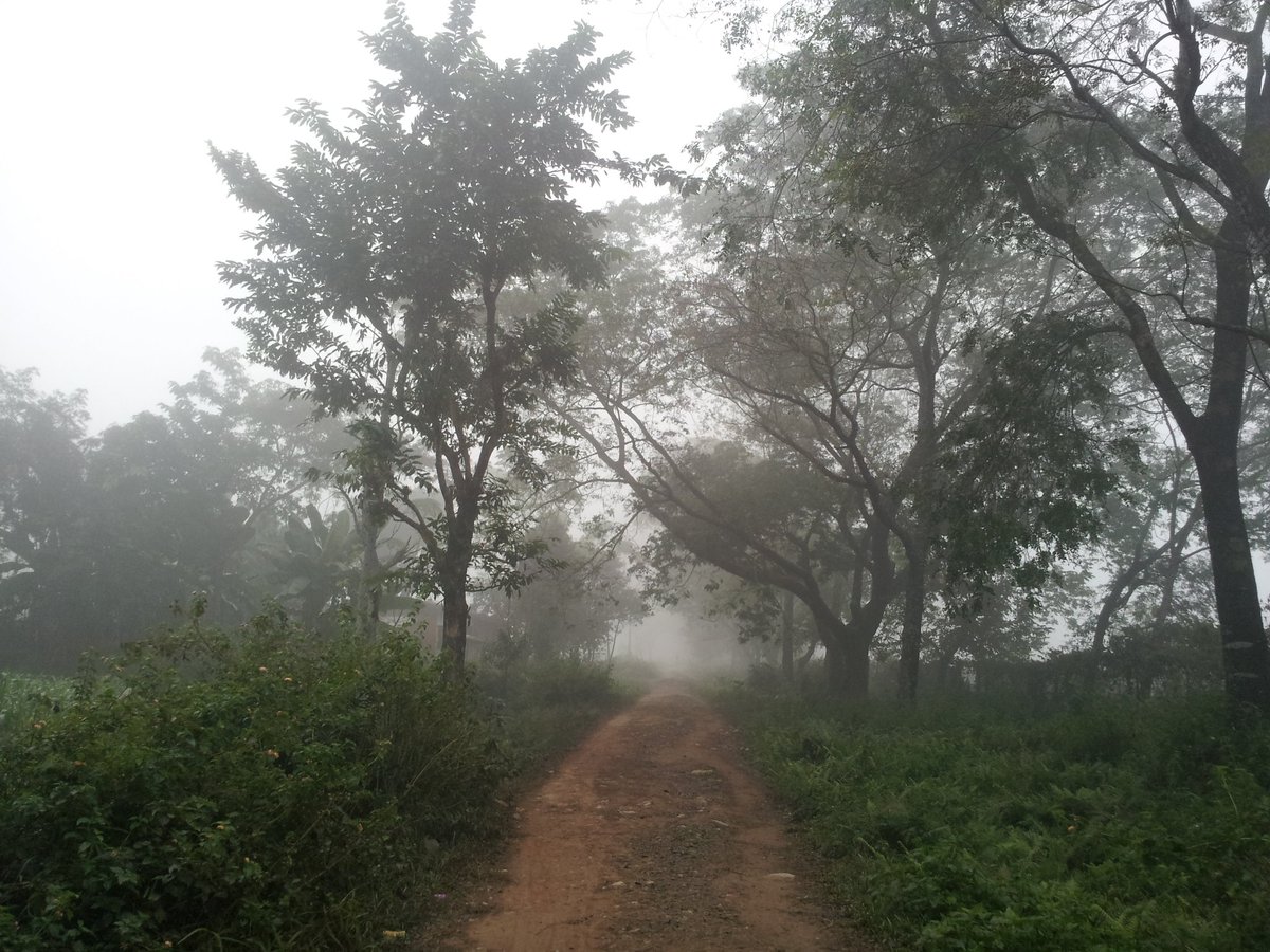 rosuun's tweet image. हुस्सु वाला गुडमर्निङ्ग :)))
#ResearchField #Sunflower #AFU