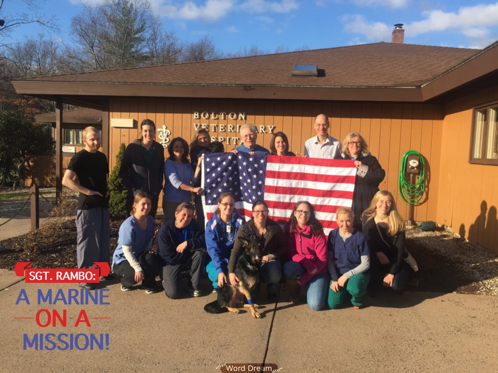 Sgt_Rambo_N577's tweet photo. Humans! I made it! @TheSlyStallone #TeamRambo #RamboStrong My medical team #herodog @AmericanHumane https://t.co/nhiF2OV3Gq