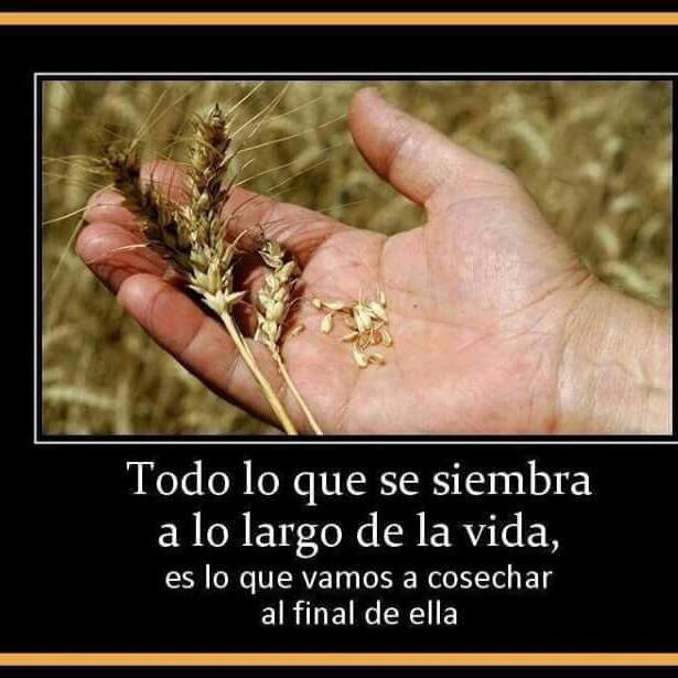 Leis_r's tweet photo. Siembra bien!!! https://t.co/keKkxQjKhj
