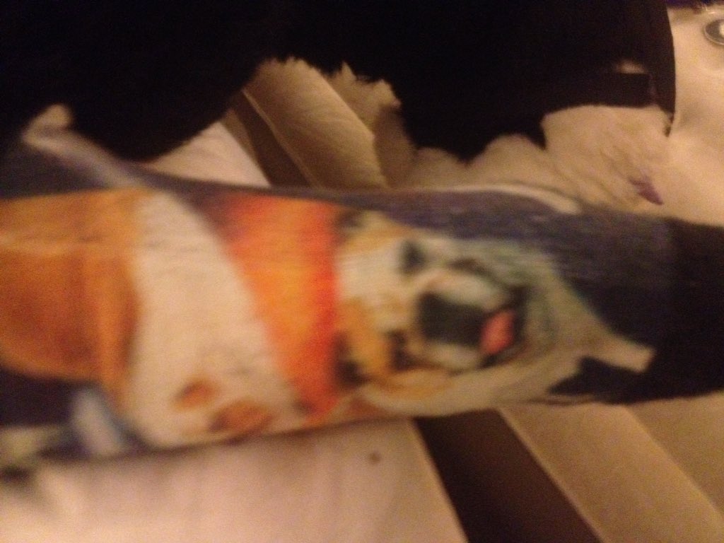 AmericasGoddess's tweet photo. @Gamblesface I need your socks, okay #NotIntoFeet #OkayMaybeALittle #furfest https://t.co/ZR4FC9nkQn