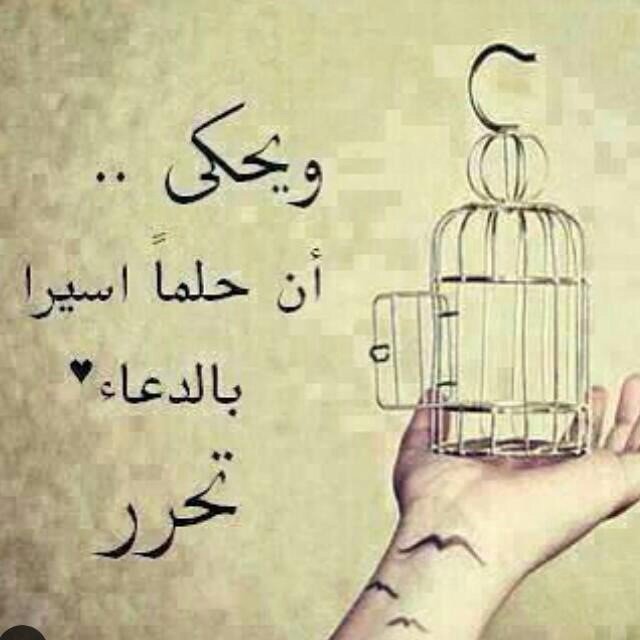 طيبة قلبي غلبتني (@b419m) on Twitter photo 