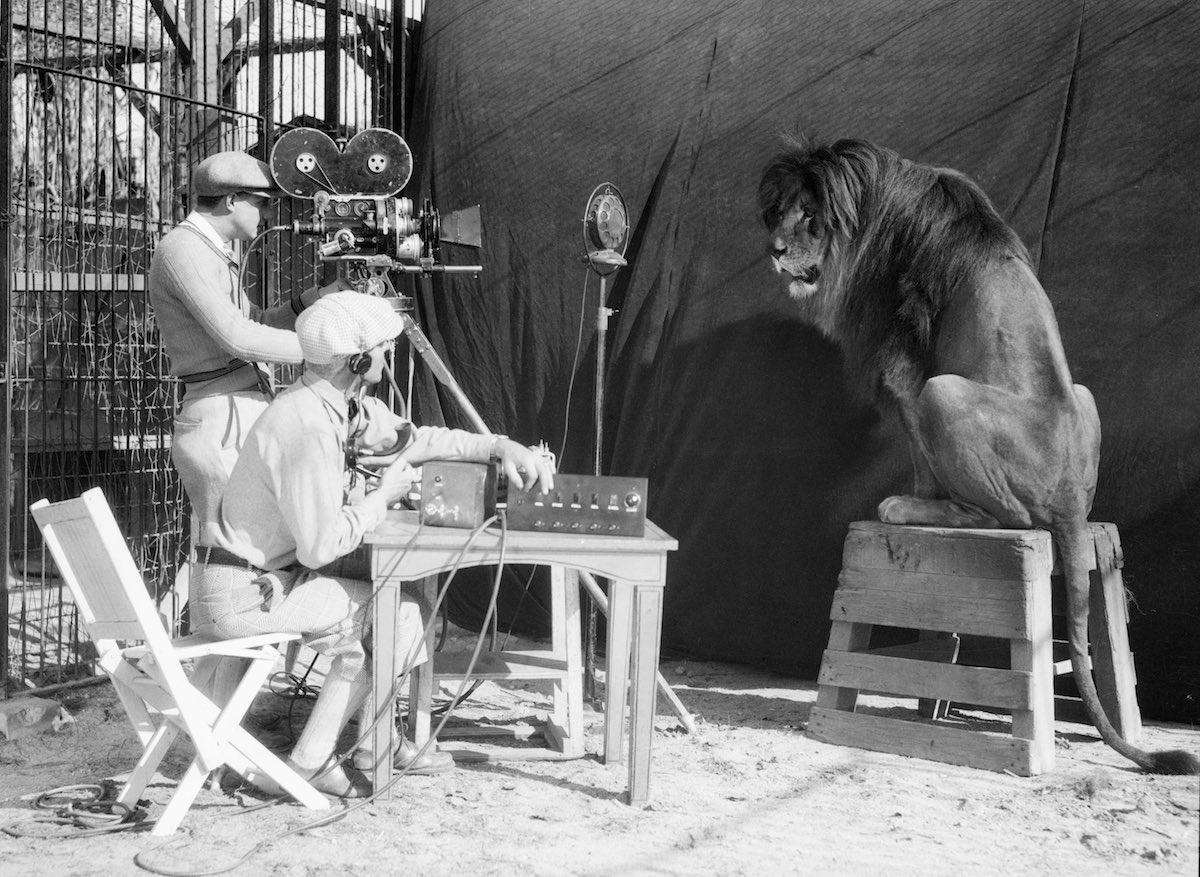 HistoryInPics's tweet photo. Recording one of the MGM Lions, 1929. https://t.co/WgRCyHukFg