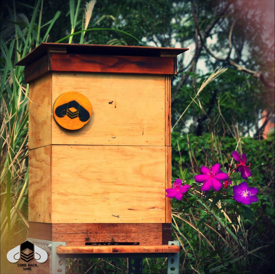 COMEBACKtoME_tw's tweet photo. This is for Apis cerana! #bee #urbanbeekeeping #ComeBackToMe #apiscerana #honey https://t.co/DwvMfDq5oY