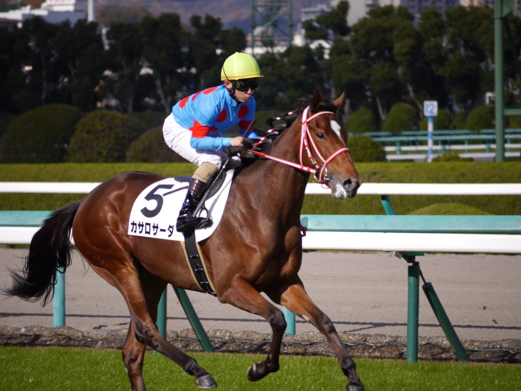 カサロサーダ Twitter Search Twitter