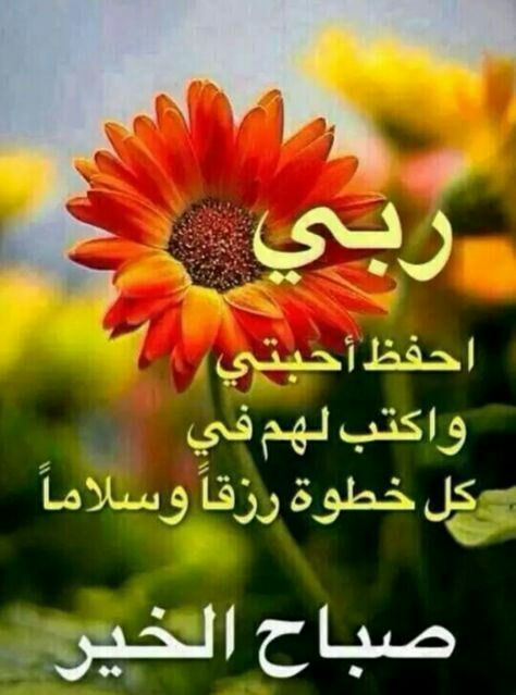 saamaraoj tweet picture