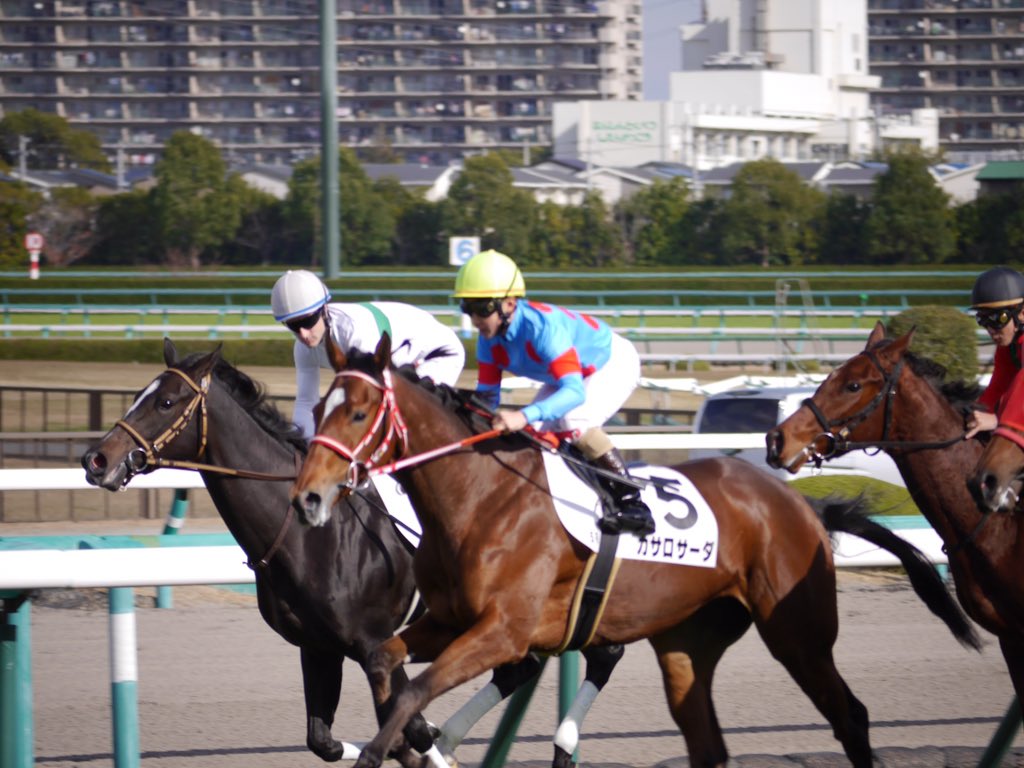 カサロサーダ Twitter Search Twitter カサロサーダ Twitter Search Twitter