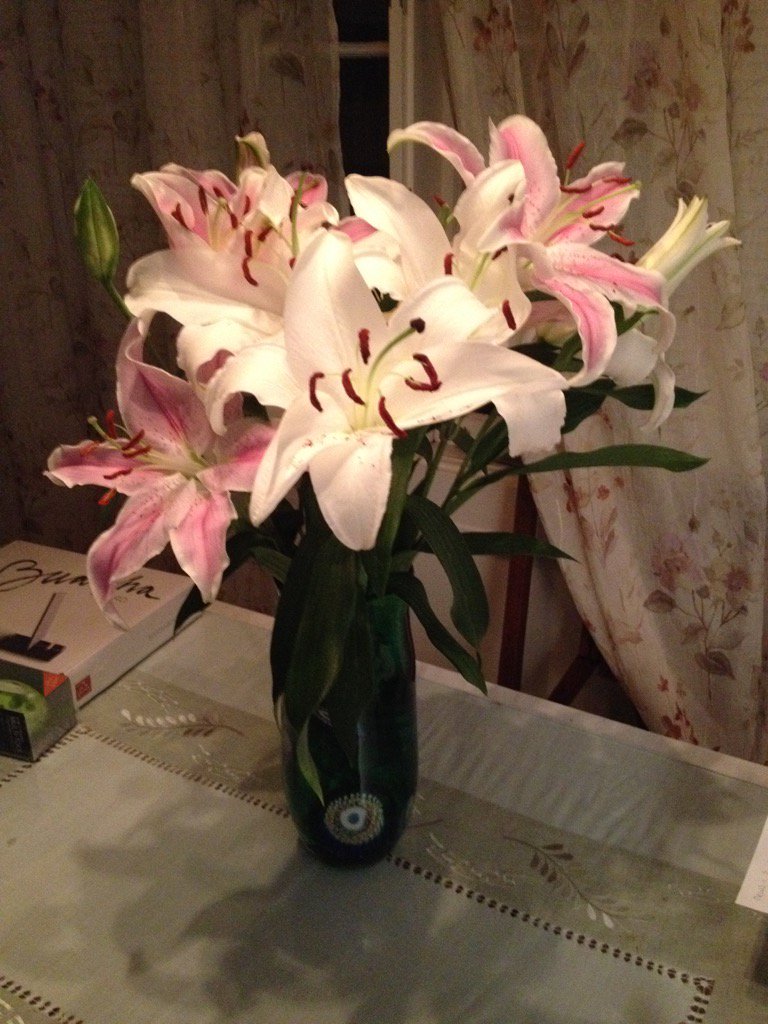 SallyStirn's tweet photo. Lilly beauty https://t.co/tqfKfPZ6rB