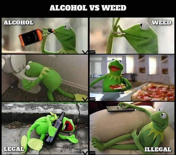 GeniusPothead's tweet photo. Alchohol vs Weed https://t.co/jzcLD8o0Nc