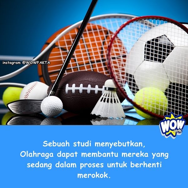 kontenwow's tweet image. Faktagram hari ini: #tahukahkamu #tahukahanda #wowfakta #fakta #faktanya #wow #mostpopular … ift.tt/1YOMDjz