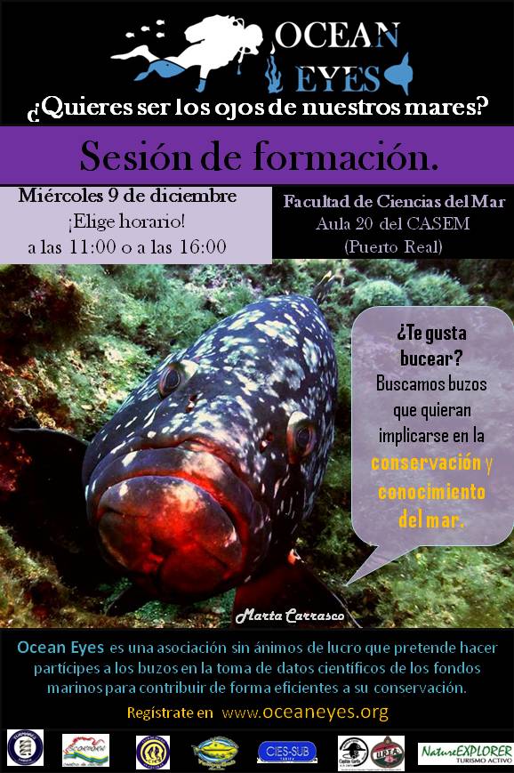 OceanEyesTarifa's tweet photo. ¡Vuelven las sesiones de formación de OCEAN EYES! Asiste y aprende sobre la recogida de datos útiles para la ciencia https://t.co/ZvITTJkbFV