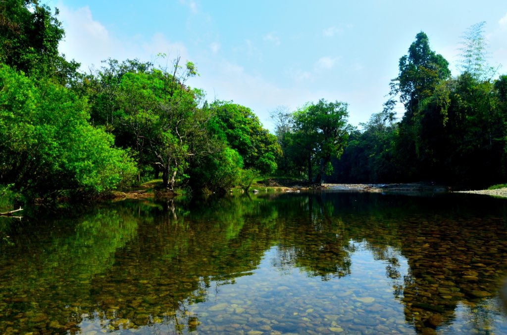 Aralam wildlife sanctuary,
Kannur,Kerala.
#StandWithForests #Kerala #westerghats #Nikon #butterflyparadise