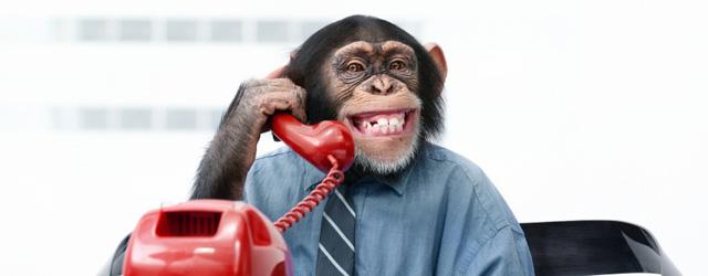 red_end69's tweet photo. Day 5 and today's cheeky chap is....... #monkeyadvent https://t.co/gDs9b4D8Up