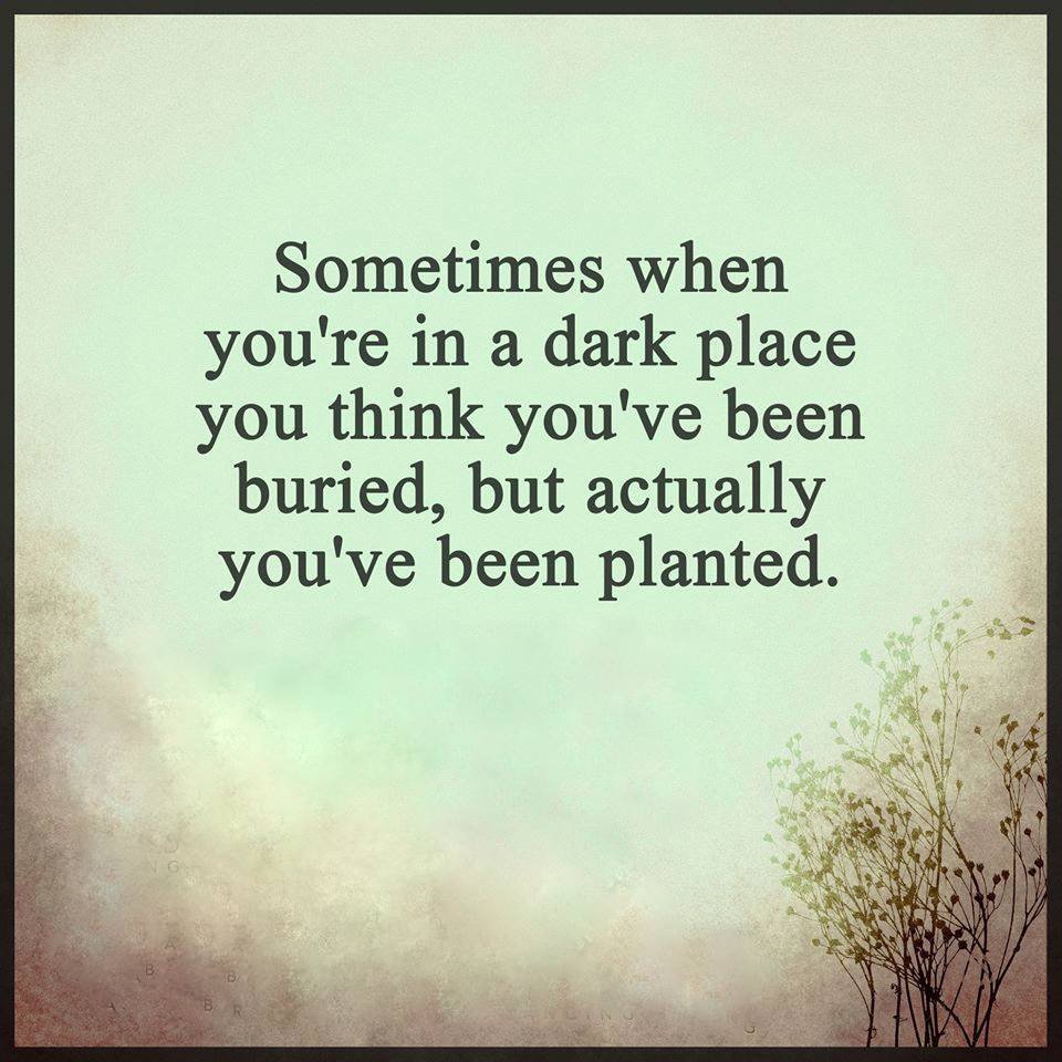 Gary Hensel (@gary_hensel) on Twitter photo 