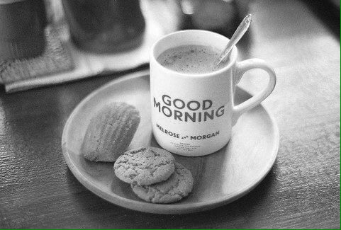 axlrose995's tweet photo. GOOD MORNING, ANOTHER DAY ANOTHER HAPPY LIFE FOR EVERYONE ☀️ https://t.co/i9KjiicGZR