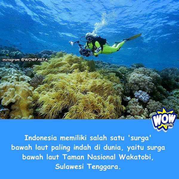 kontenwow's tweet photo. Faktagram hari ini: #tahukahkamu #tahukahanda #wowfakta #fakta #faktanya #wow #mostpopular … https://t.co/QOggrH8Ivc https://t.co/LA68dauC20