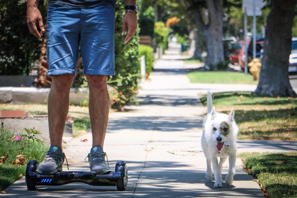 Why walk when you can roll? 😎🐶 #rollwithus #highflyerscooters 
Order yours online at highflyerscooters.com ✌️
