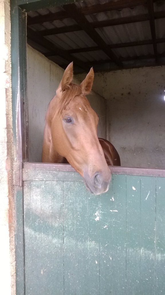 Nuggetwood's tweet image. A win for the good guys #Undoubtable #WinnerWinnerChickenDinner