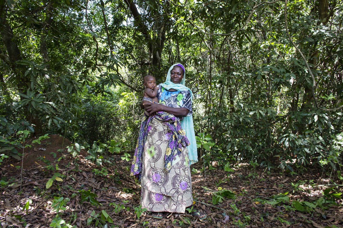 WorldBankGroup's tweet photo. To fight #ClimateChange we need to protect and restore our forest landscapes: https://t.co/HpP7oql92t #COP21 https://t.co/y5o2wqy9vm