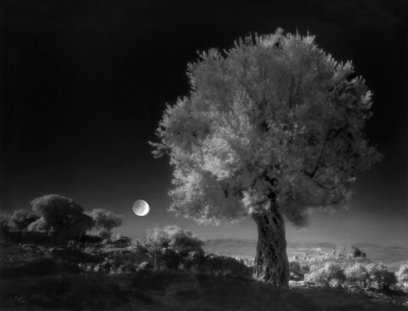 stjohnsphoto tweet media