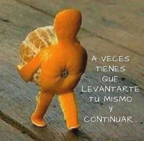 SolonSequeira's tweet photo. No te rindas!!! https://t.co/EzejyLPPe6