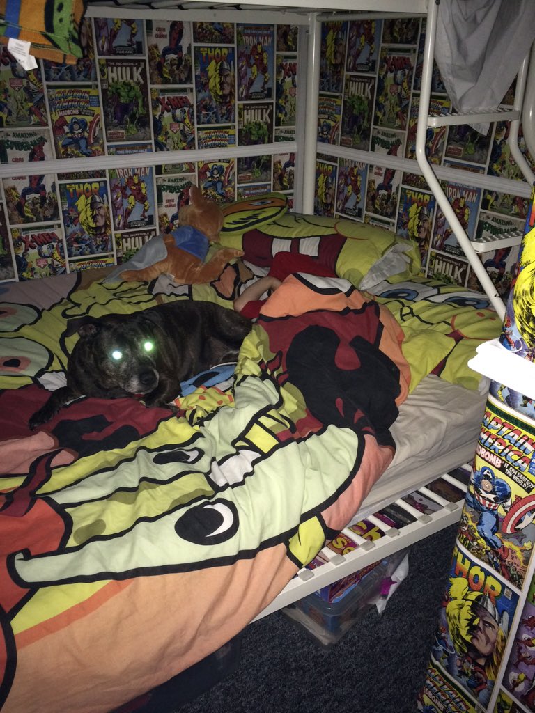 Mitch106gti's tweet photo. When @laura_loopyloo go out for the night mummy daisy takes  over @lilmelmac @ErinKloss https://t.co/bVVT4KBcmU