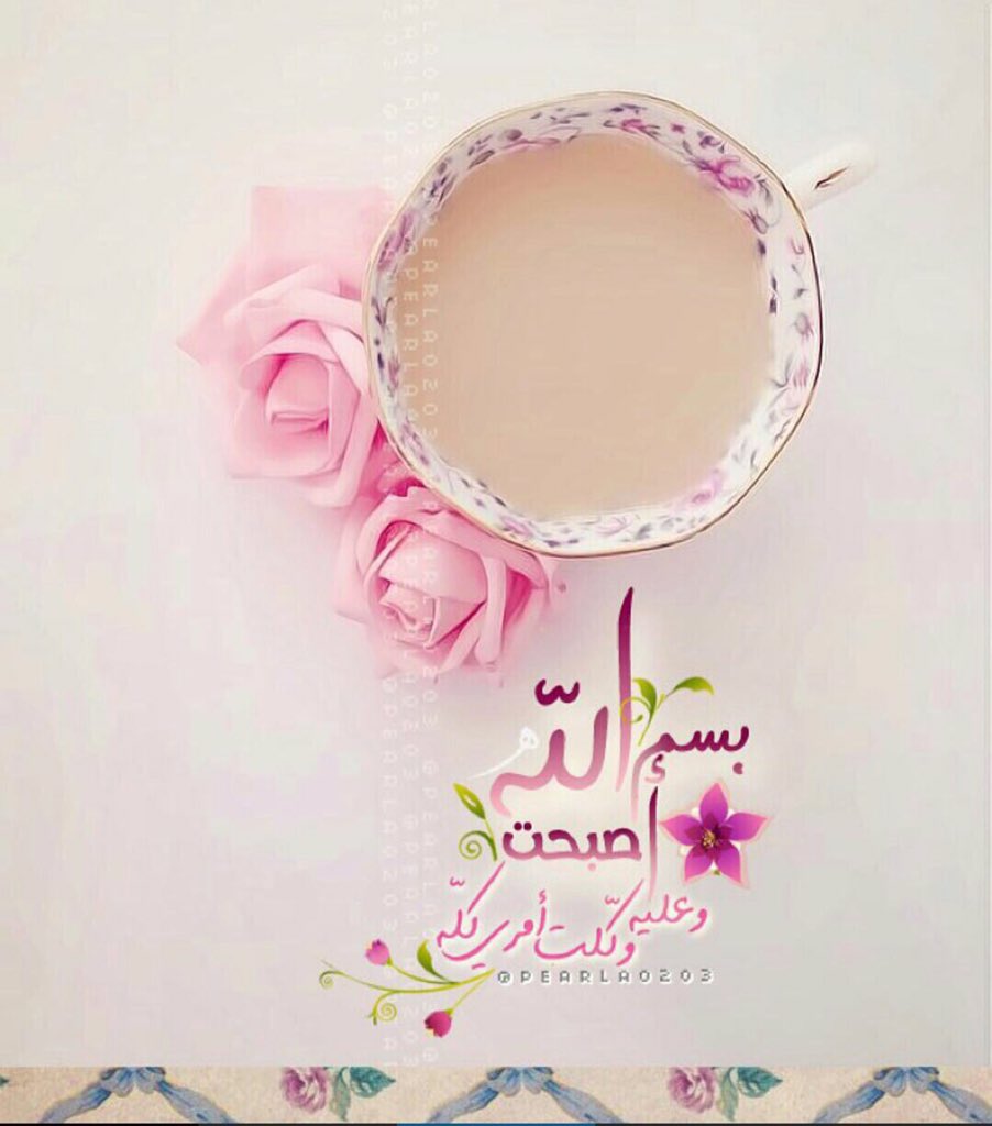 M3rajAlrooh's tweet photo. صباحٌ من خلف أسوار الغياب https://t.co/dRGO5KZ075