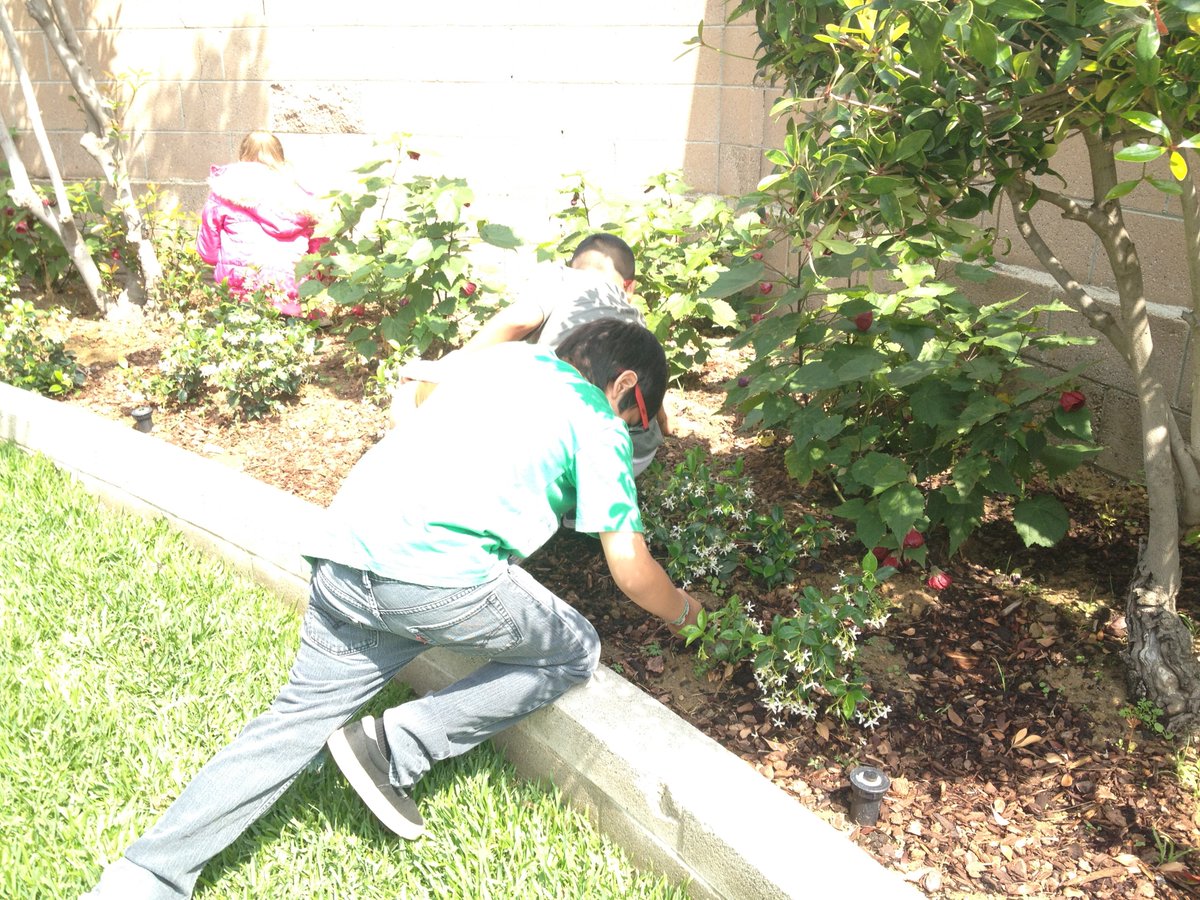 rosalarios47's tweet photo. Planting a community vegetable garden. A great protective health determinant. #pcorseek https://t.co/JZ1gLmHR9f