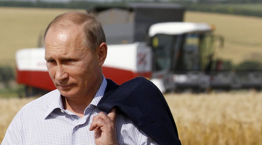 Mrs_Coder's tweet photo. RT @RT_com: Putin wants Russia to become world's biggest exporter of non-GMO food https://t.co/E28cZ7NT9r https://t.co/c7nbsFINch #g3h