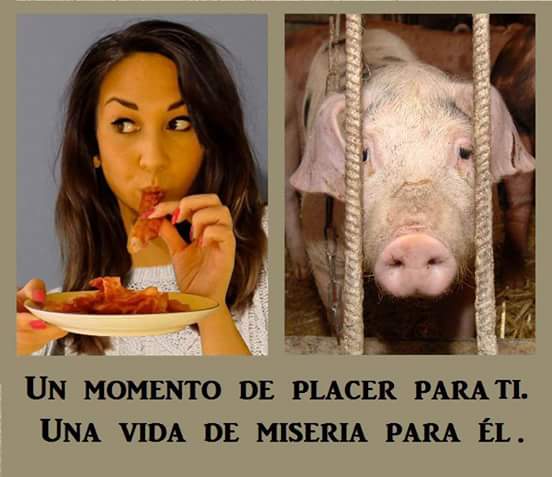 Almanimalista's tweet photo. Un momento de placer para ti ---> Una vida de miseria pa el... https://t.co/Y9X64zUTBZ