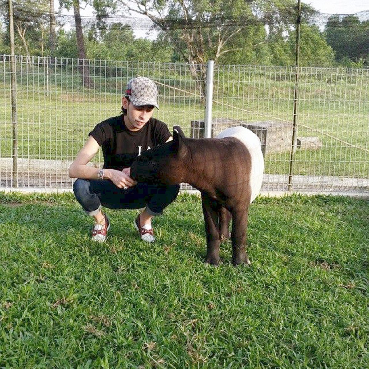 Embedded image permalink