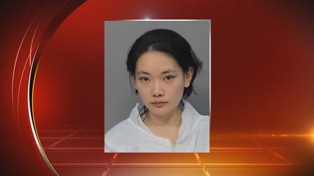 ART BASEL ATTACK: Police said suspect told them she "had to watch her bleed." bit.ly/1N1Zr0G?utm_me… https://t.co/OBnoPZDif3