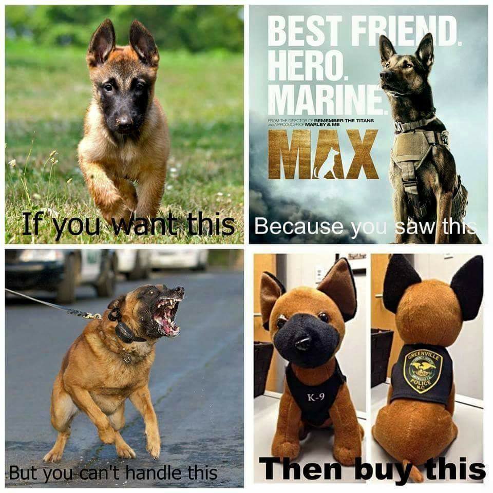 ncpgh's tweet photo. @xomeganox69  exactly!!! https://t.co/Ik8aIMDxiI