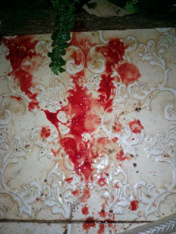 Makin parah nih kayaknya